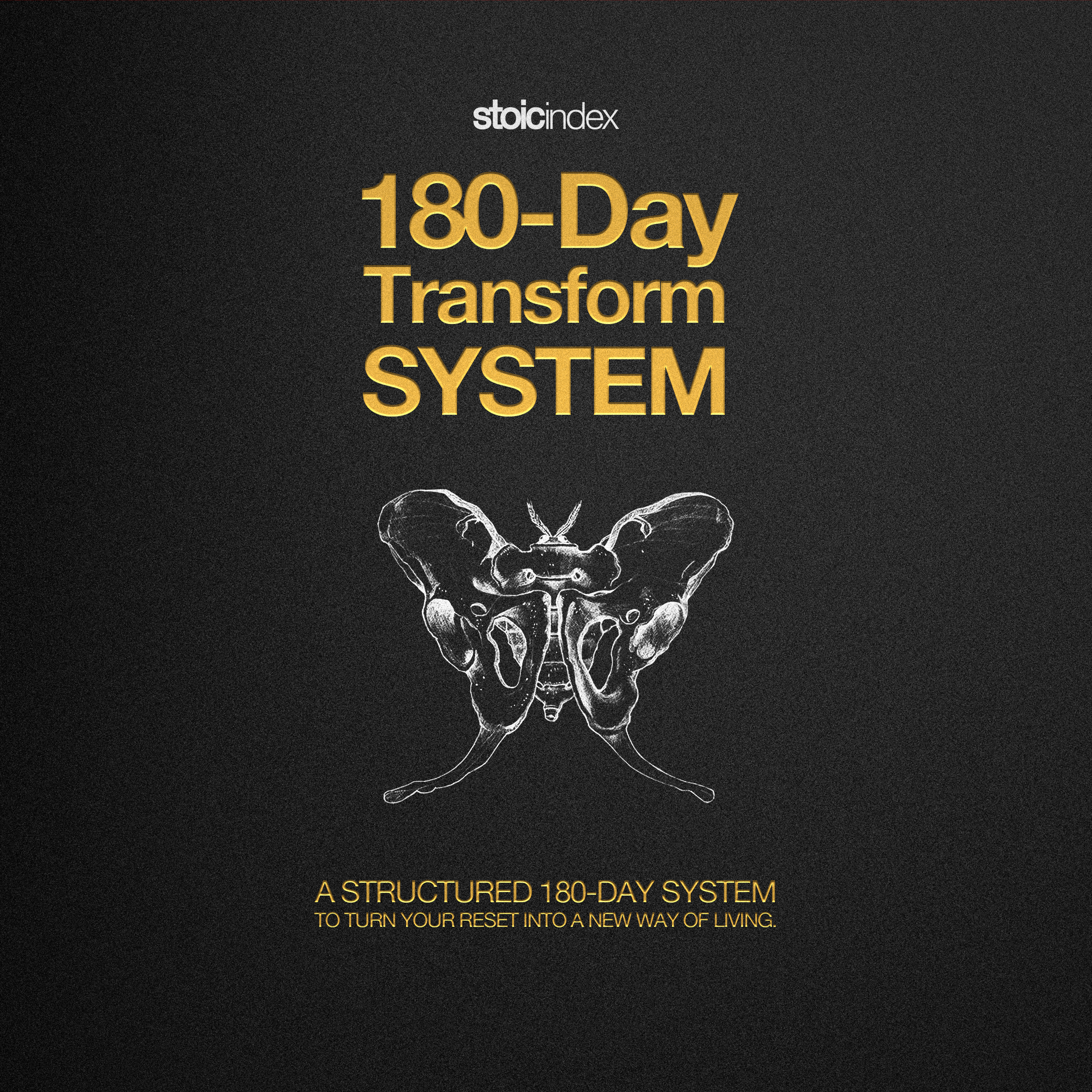 180-Day Transform System